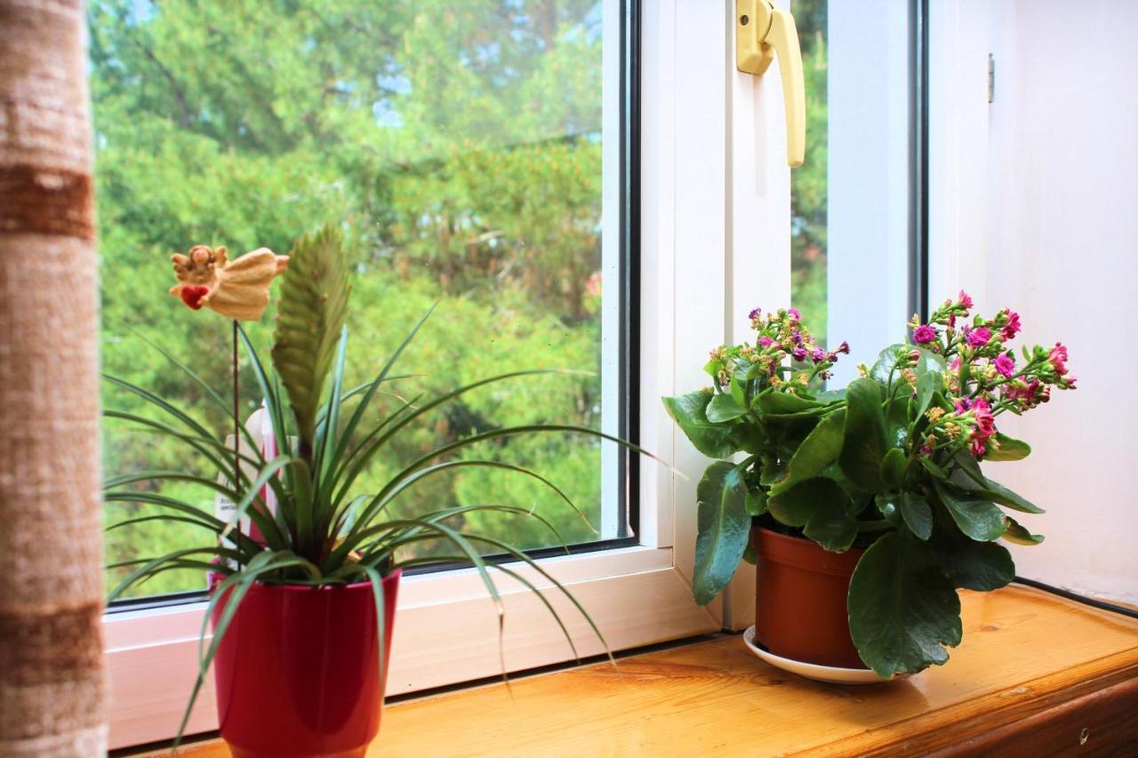 Hotel Grace Garden Kum Екстериор снимка